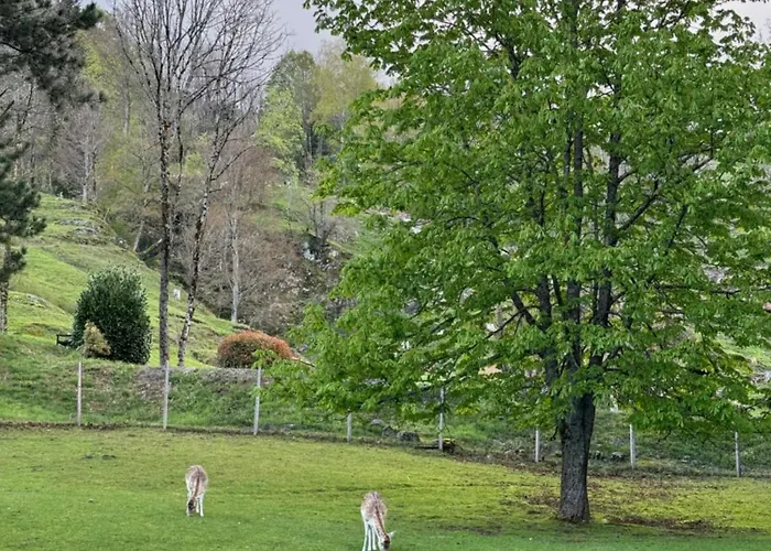 Alpstuga Le Bo & Bussang